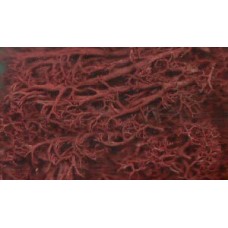 Lichen (Autumn Brown)